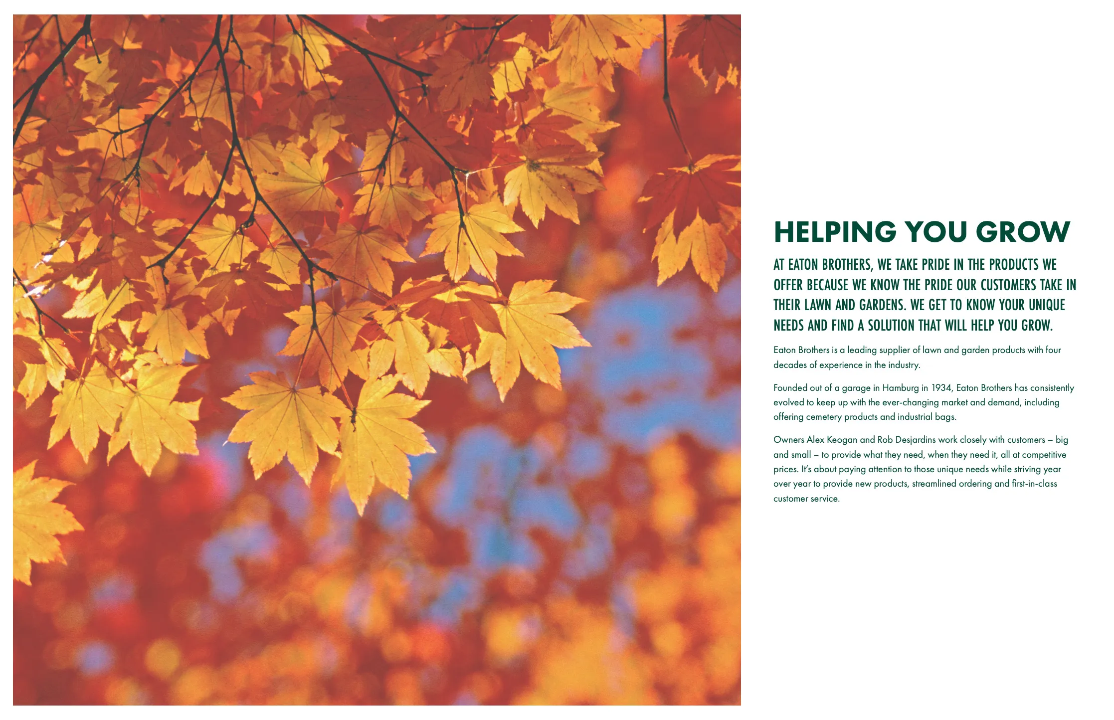 Eaton Brothers Brand Identity Catalog Design | Retail Branding