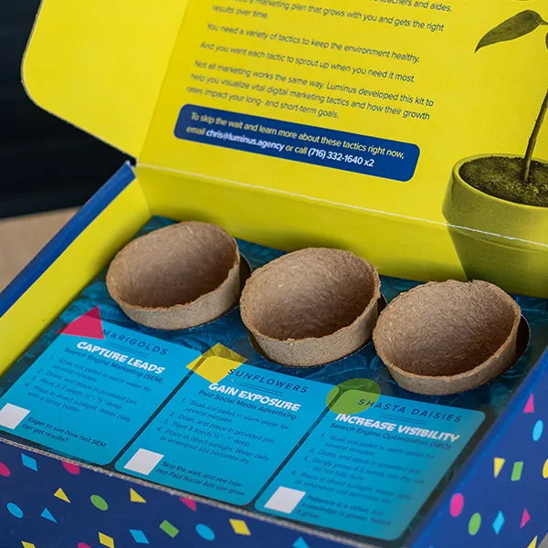 Luminus Child Care Outreach Mailer | Child Care Marketing | Sales Mailer
