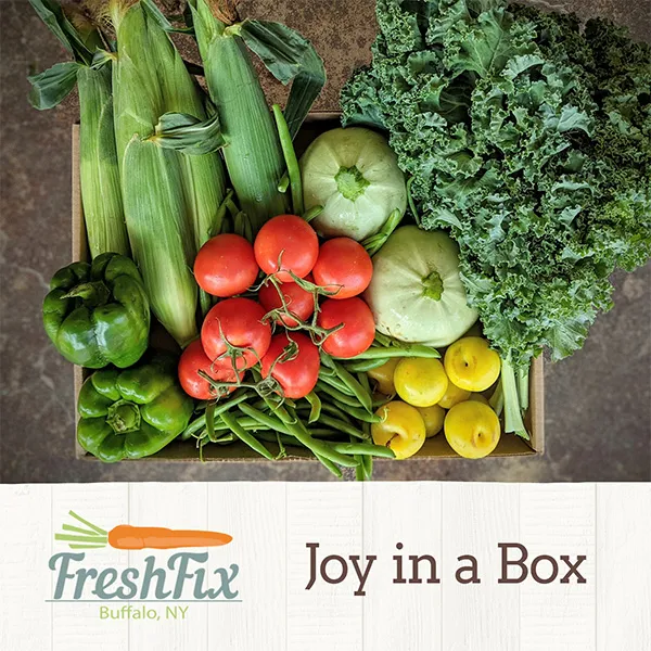 FreshFix Marketing Campaign Design | Social Media Campaign | Digital Campaign Creative