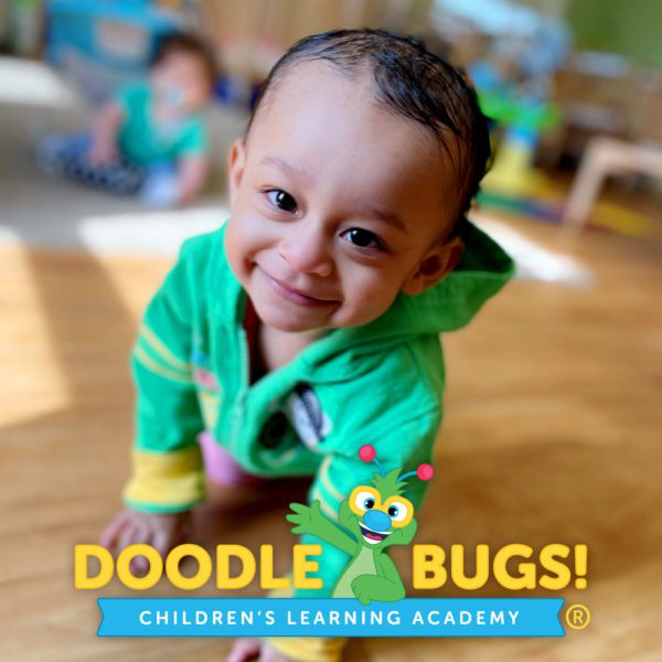 Doodle Bugs Childcare Digital Marketing Campaign | Childcare SEM, Childcare Social Media Advertising | Childcare Digital Agency