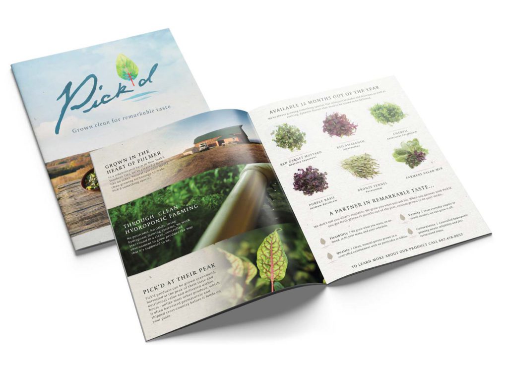 Pick'd Microgreens Produce Brochure Layout Design | Produce Graphic Design | Retail Graphic Design