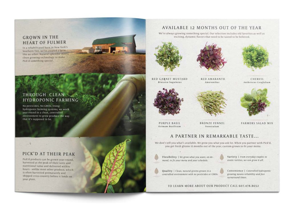 Pick'd Microgreens Produce Brochure Spread Design | Produce Graphic Design | Retail Graphic Design