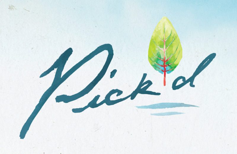 Pick'd Microgreens Logo Design | Retail Logo Design | Produce Branding