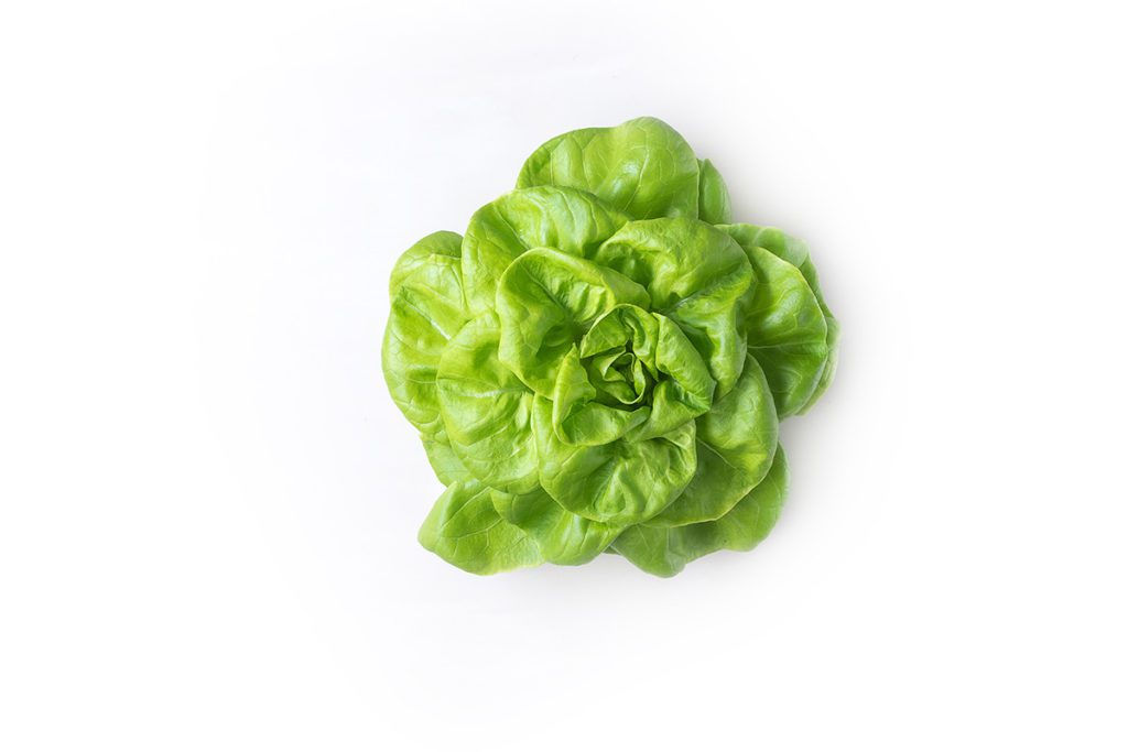 Pick'd Microgreens Food Greens Photography | Retail Photography