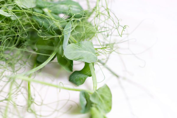 Pick'd Microgreens Food Photography | Retail Photography