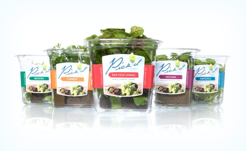 Pick'd Microgreens Retail Packaging Design | Food Package Design