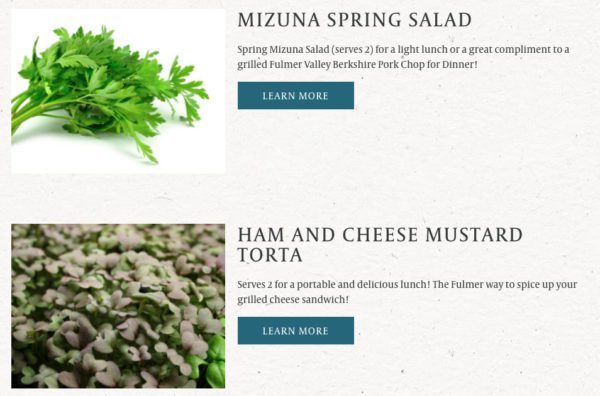 Pick'd Microgreens Website Content Module | Retail Web Design | Food Web Design