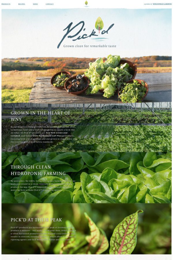 Pick'd Microgreens Website Home Page | Retail Web Design | Food Web Design