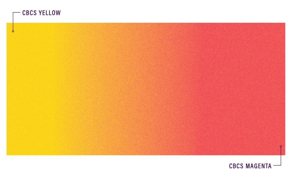 CBC Solutions Healthcare Brand Identity Color Gradient