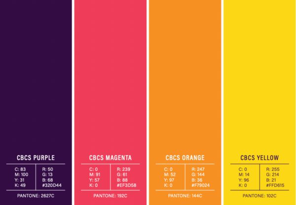 CBC Solutions Healthcare Brand Identity Color Palette