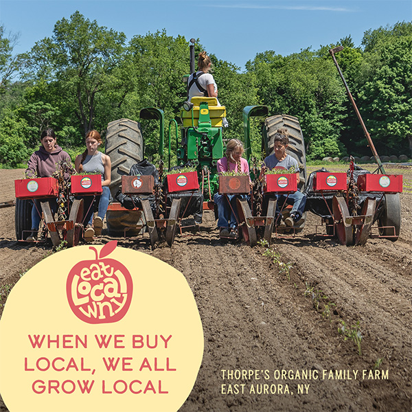 Eat Local WNY | Marketing Campaign | Creative Campaign