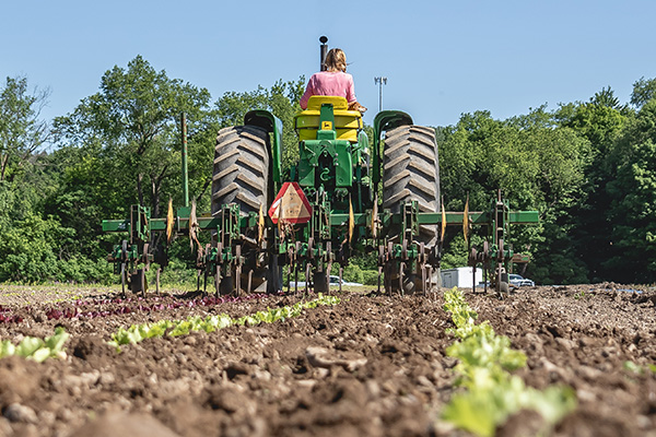 Eat Local WNY Campaign Photography | Campaign Design | Digital Marketing Campaign Photography