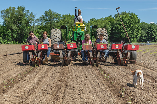 Eat Local WNY Campaign Photography | Campaign Design | Outdoor Photography