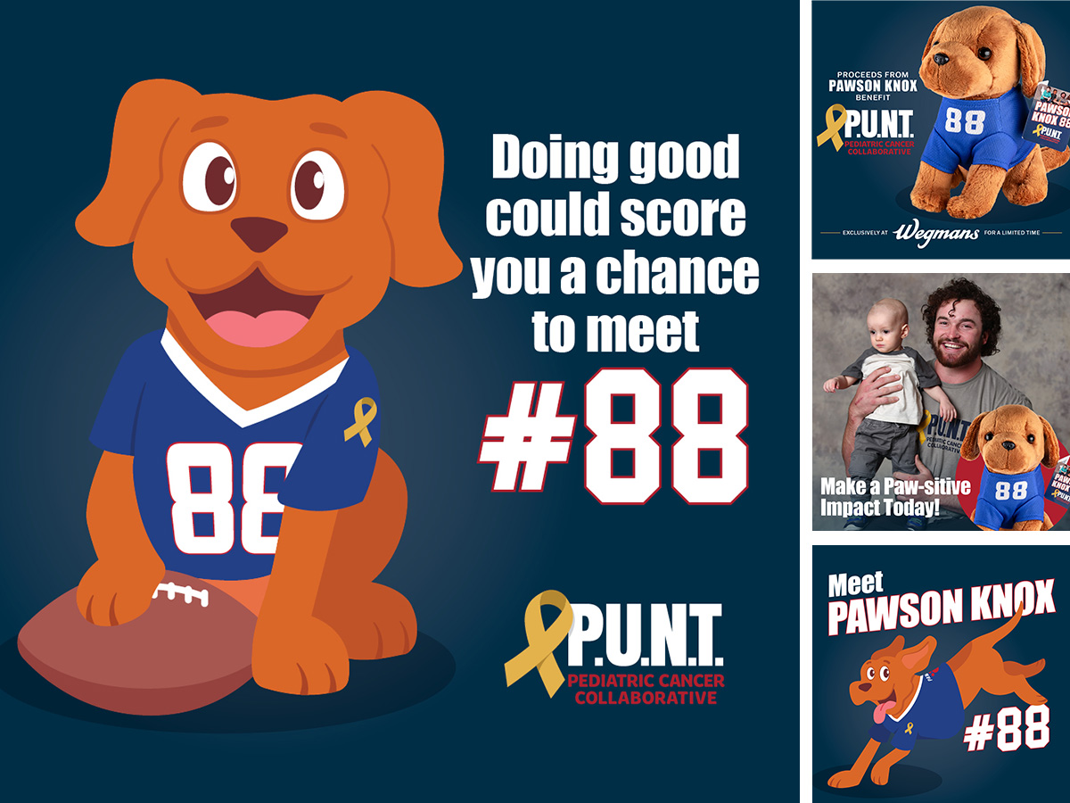 PUNT Pawson Knox Campaign Creative